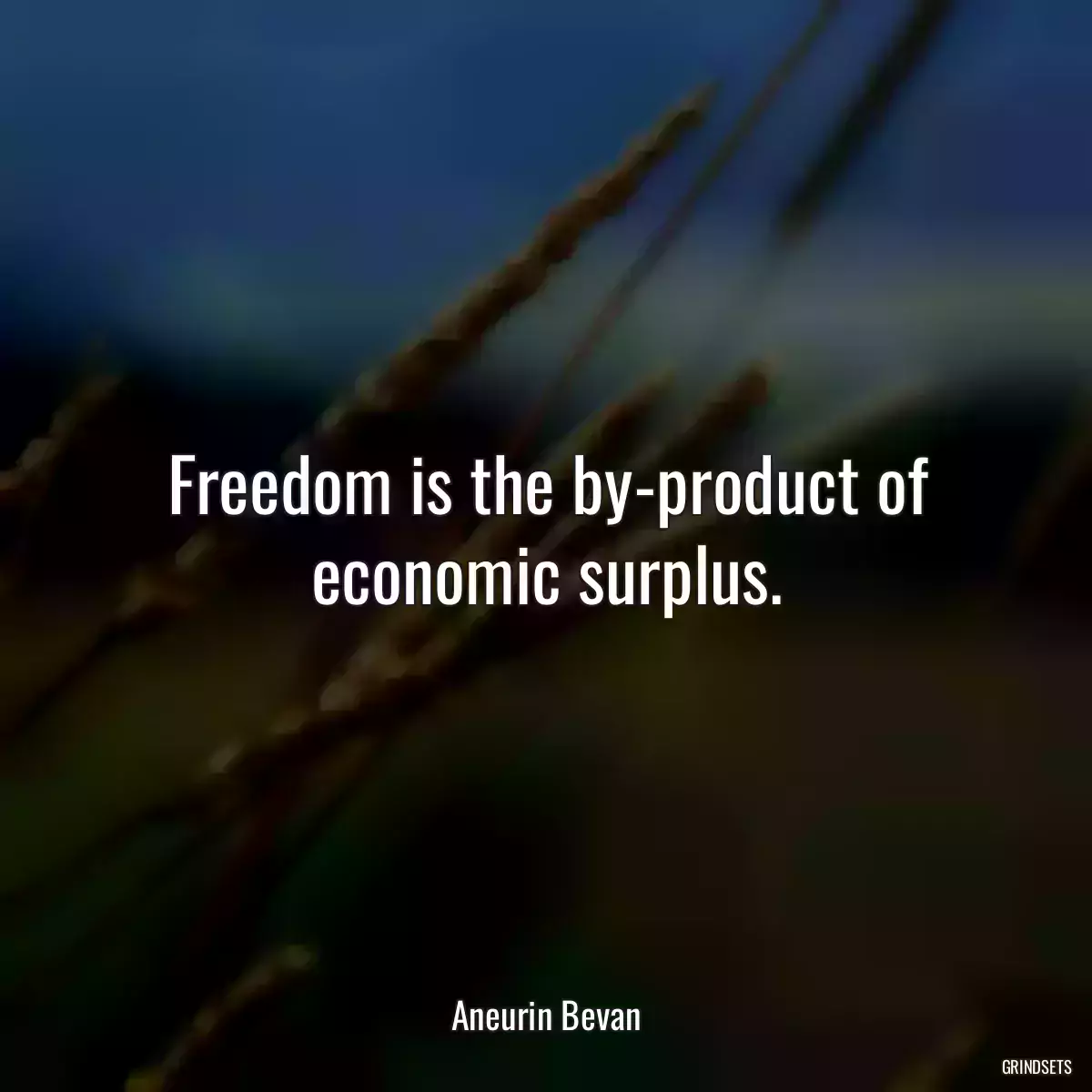 Freedom is the by-product of economic surplus.