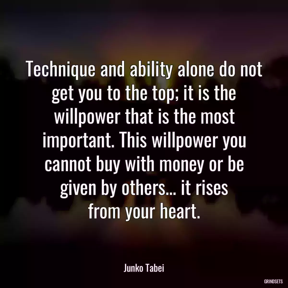 Technique and ability alone do not get you to the top; it is the willpower that is the most important. This willpower you cannot buy with money or be given by others... it rises from your heart.