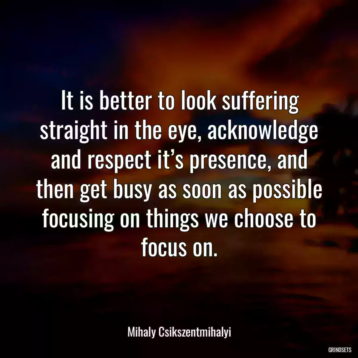 It is better to look suffering straight in the eye, acknowledge and respect it’s presence, and then get busy as soon as possible focusing on things we choose to focus on.