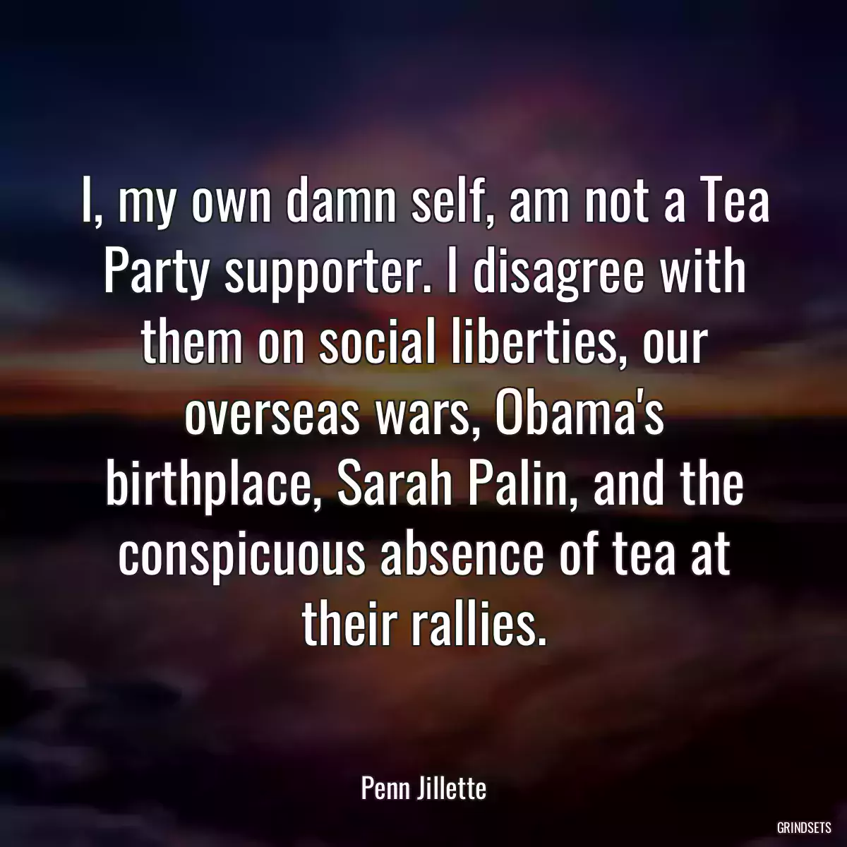 I, my own damn self, am not a Tea Party supporter. I disagree with them on social liberties, our overseas wars, Obama\'s birthplace, Sarah Palin, and the conspicuous absence of tea at their rallies.