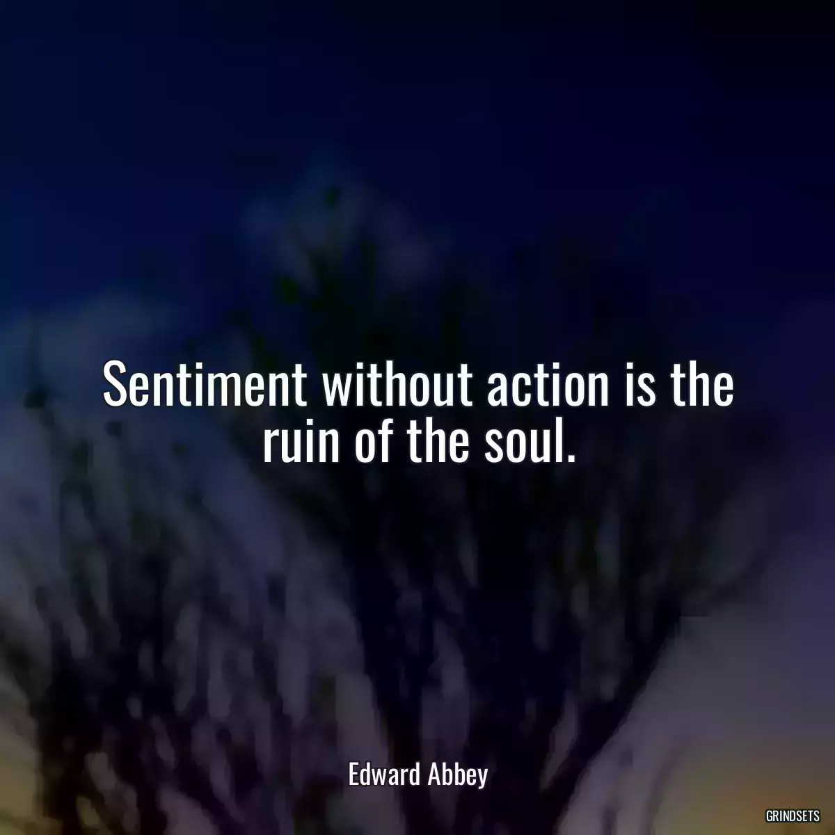 Sentiment without action is the ruin of the soul.