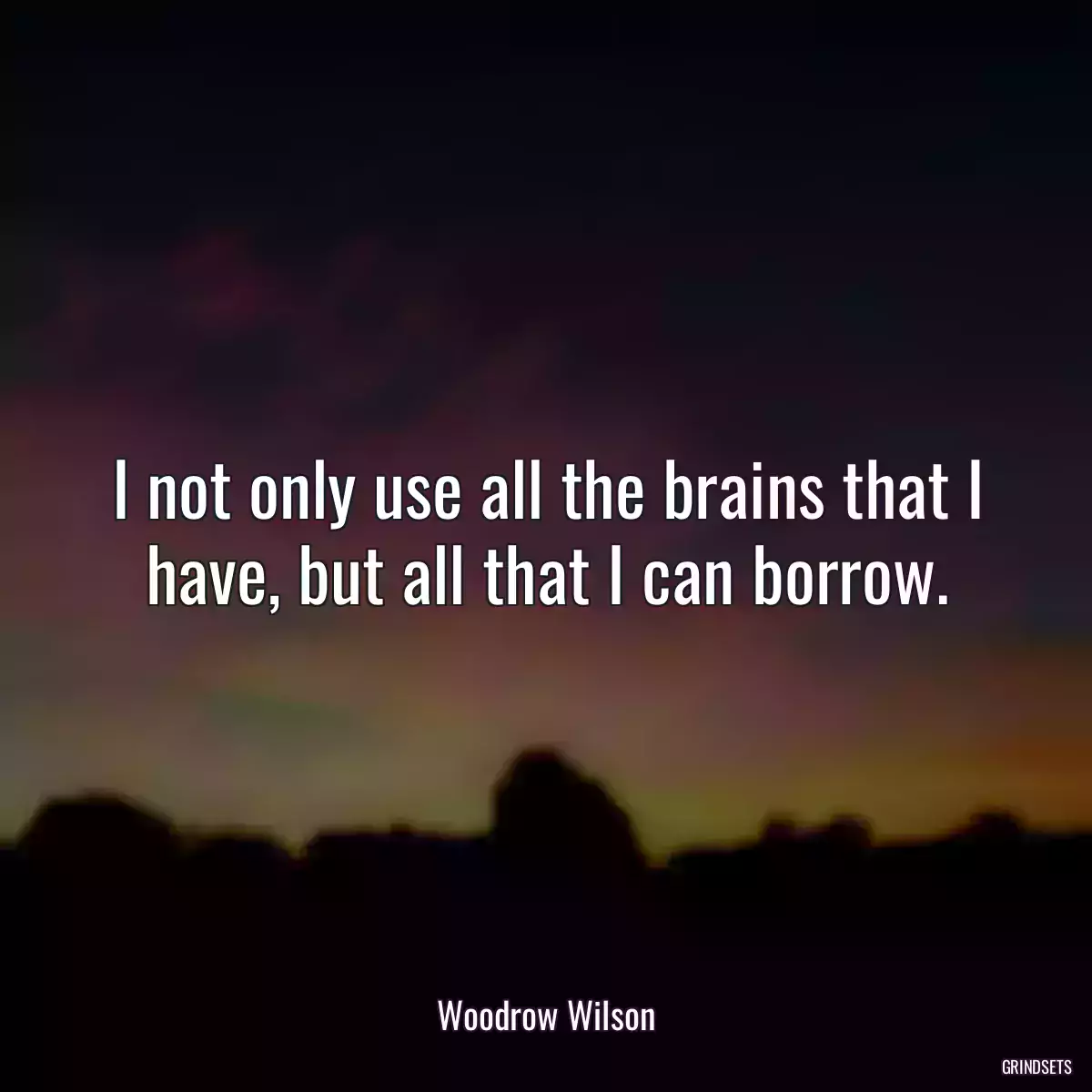 I not only use all the brains that I have, but all that I can borrow.