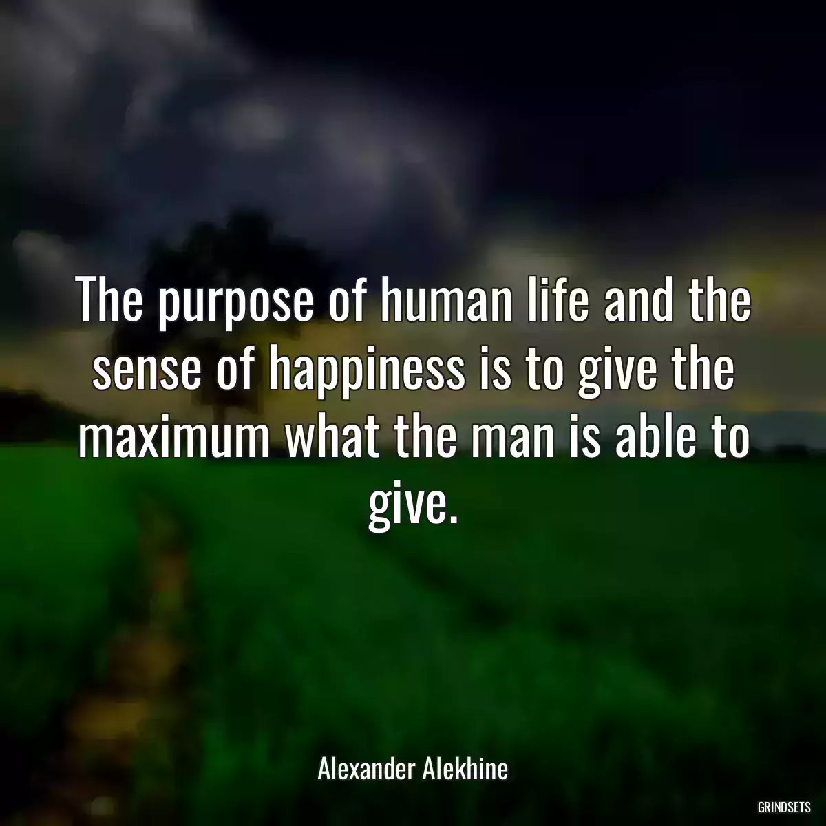 The purpose of human life and the sense of happiness is to give the maximum what the man is able to give.