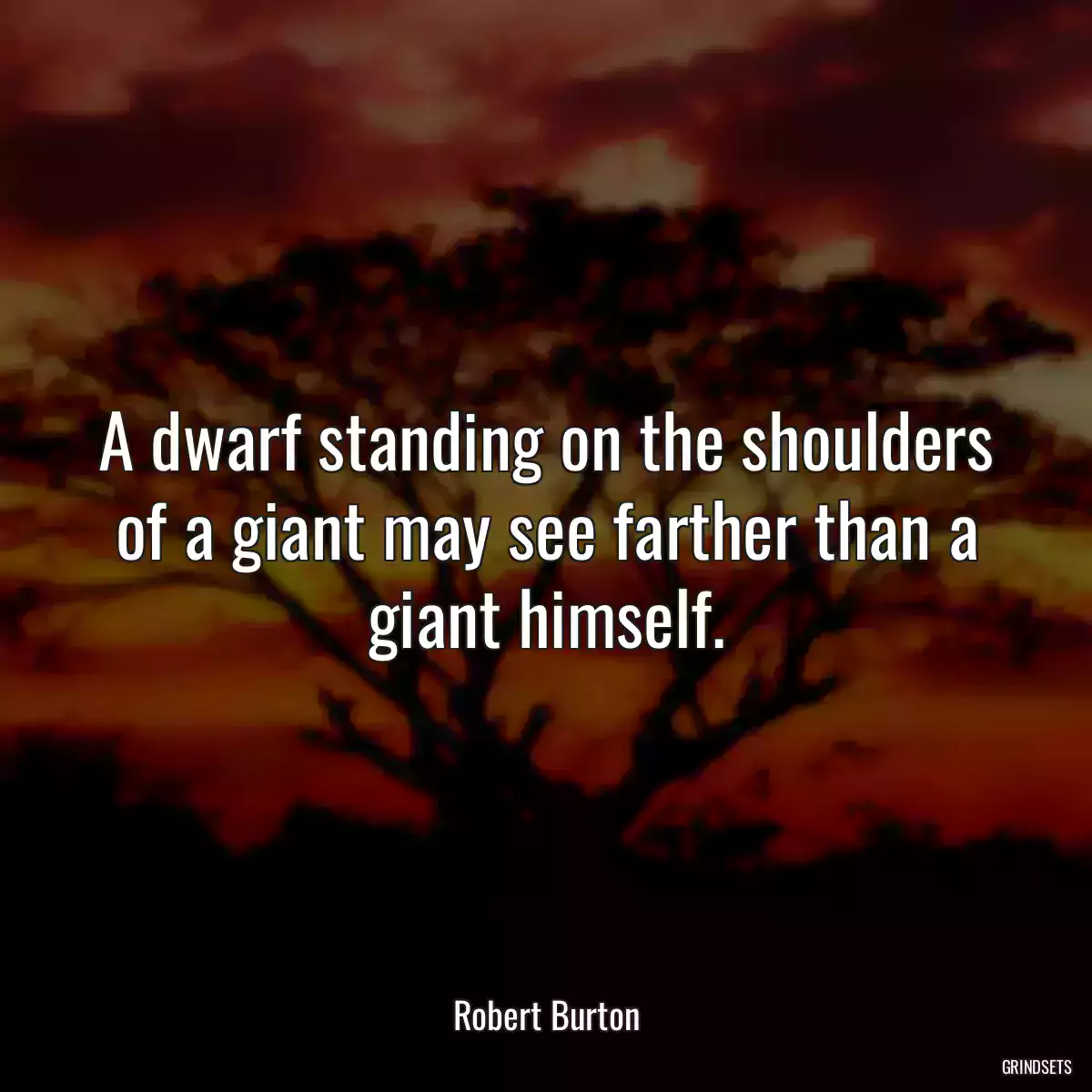 A dwarf standing on the shoulders of a giant may see farther than a giant himself.