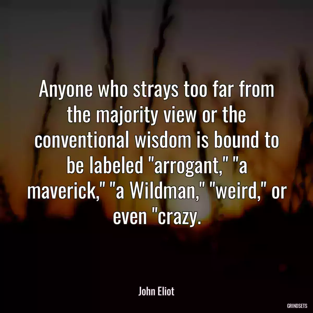 Anyone who strays too far from the majority view or the conventional wisdom is bound to be labeled \