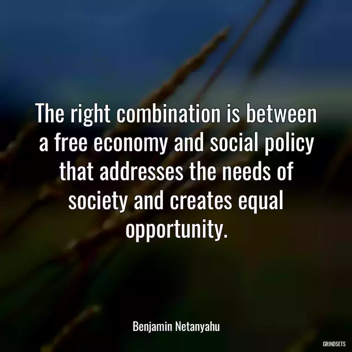 The right combination is between a free economy and social policy that addresses the needs of society and creates equal opportunity.