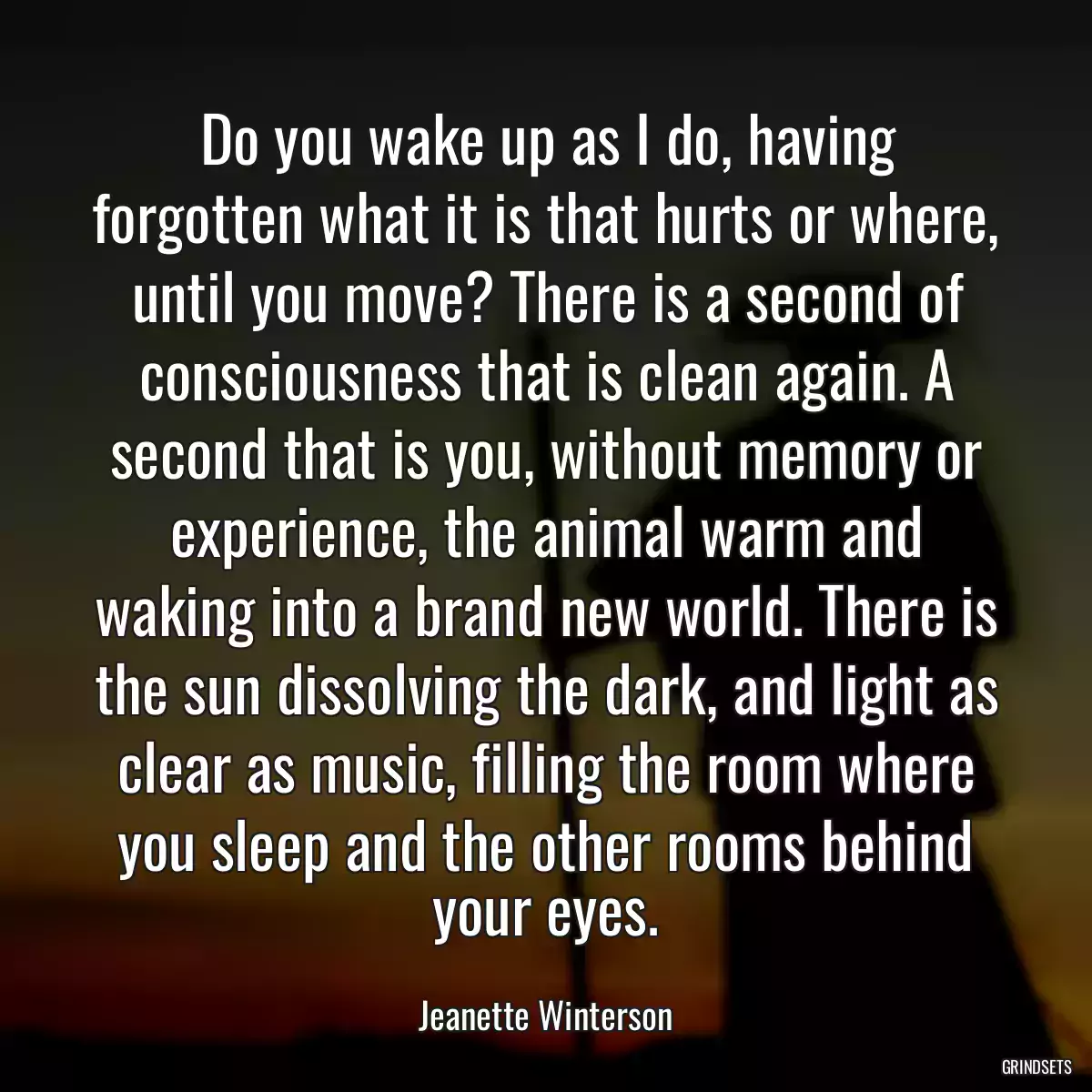 Do you wake up as I do, having forgotten what it is that hurts or where, until you move? There is a second of consciousness that is clean again. A second that is you, without memory or experience, the animal warm and waking into a brand new world. There is the sun dissolving the dark, and light as clear as music, filling the room where you sleep and the other rooms behind your eyes.