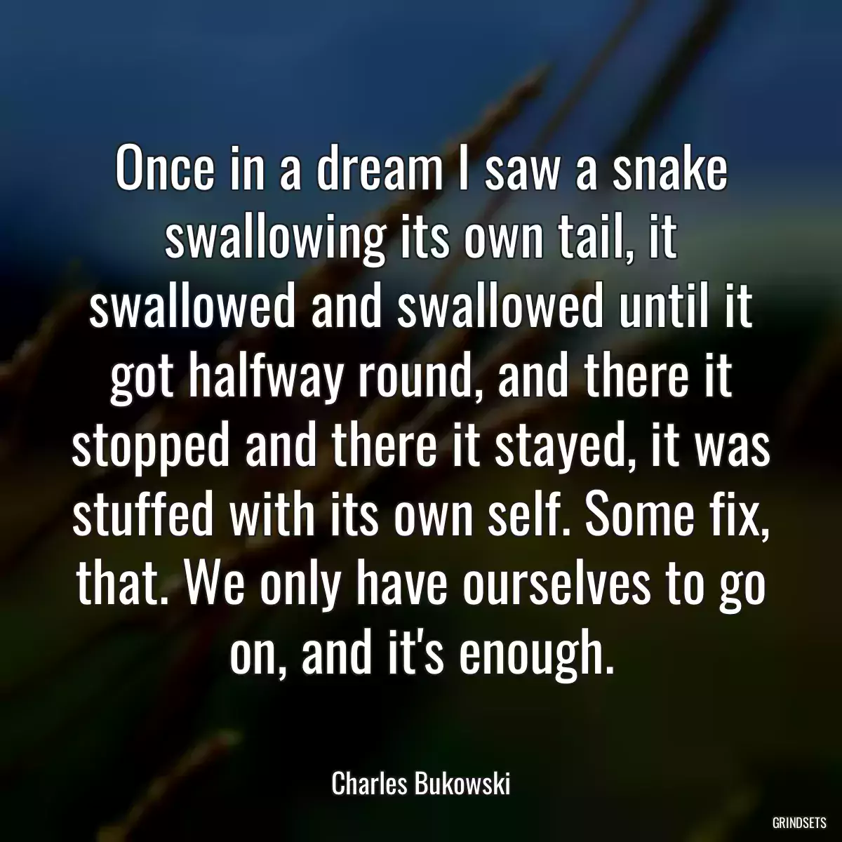 Once in a dream I saw a snake swallowing its own tail, it swallowed and swallowed until it got halfway round, and there it stopped and there it stayed, it was stuffed with its own self. Some fix, that. We only have ourselves to go on, and it\'s enough.