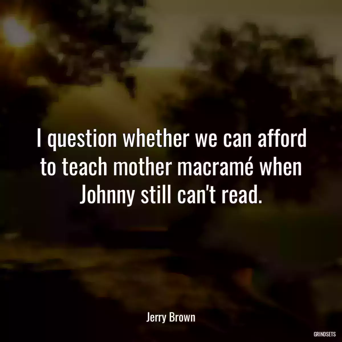 I question whether we can afford to teach mother macramé when Johnny still can\'t read.