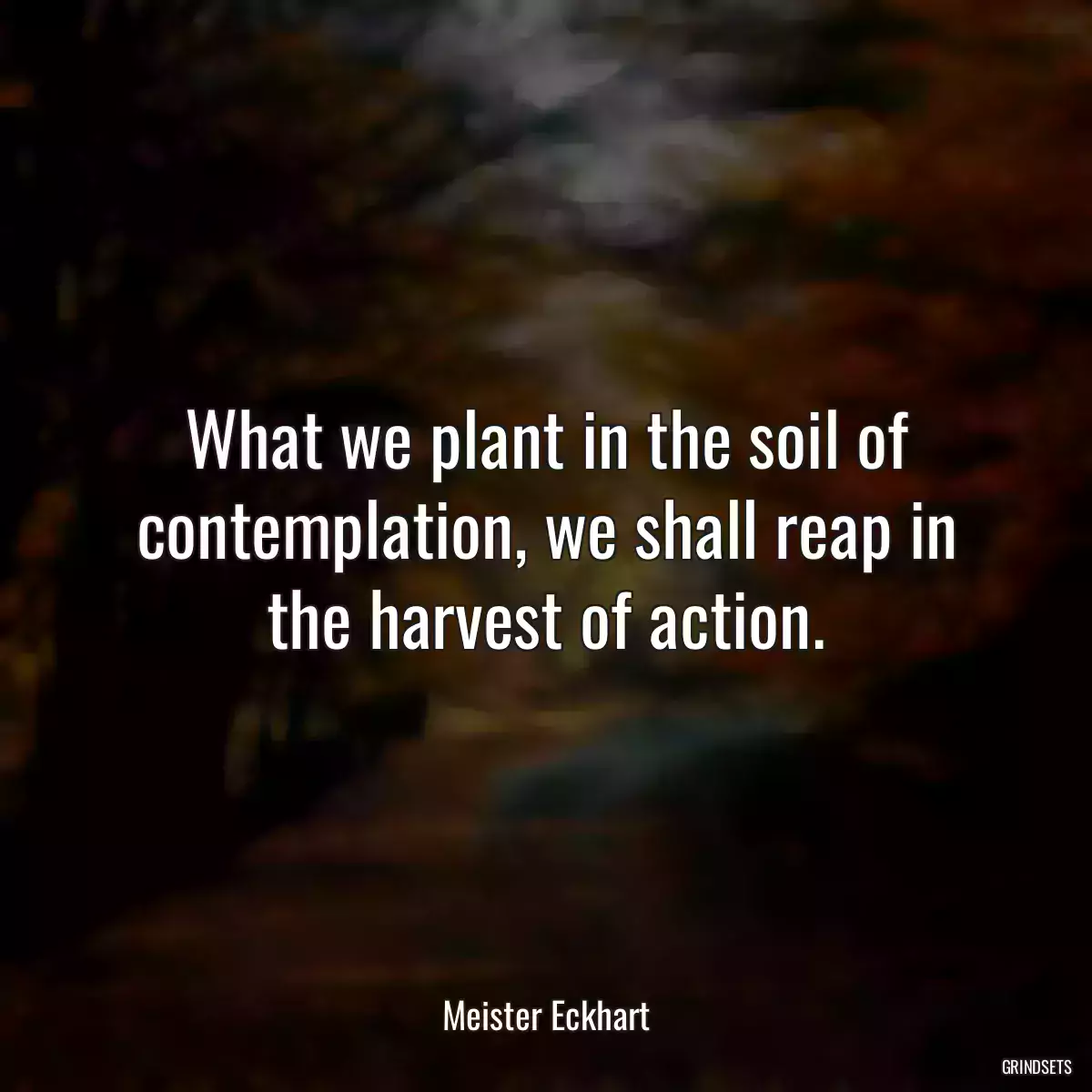 What we plant in the soil of contemplation, we shall reap in the harvest of action.