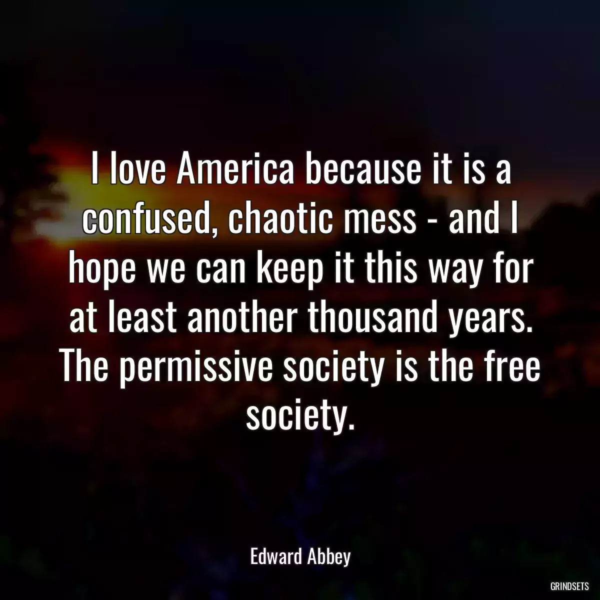 I love America because it is a confused, chaotic mess - and I hope we can keep it this way for at least another thousand years. The permissive society is the free society.