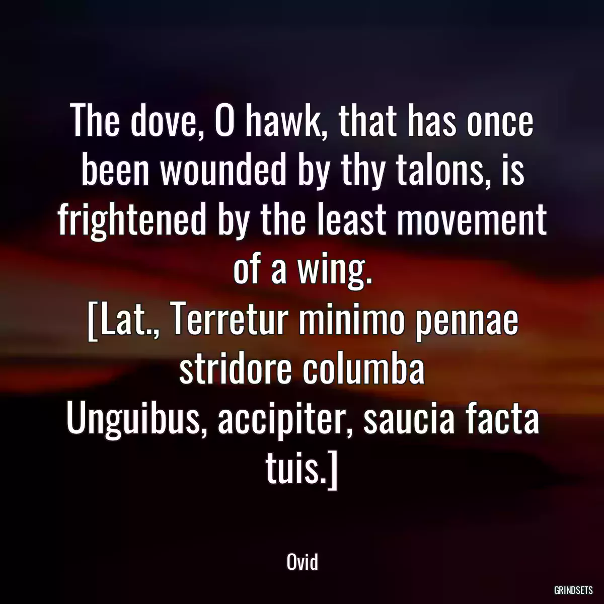 The dove, O hawk, that has once been wounded by thy talons, is frightened by the least movement of a wing.
[Lat., Terretur minimo pennae stridore columba
Unguibus, accipiter, saucia facta tuis.]