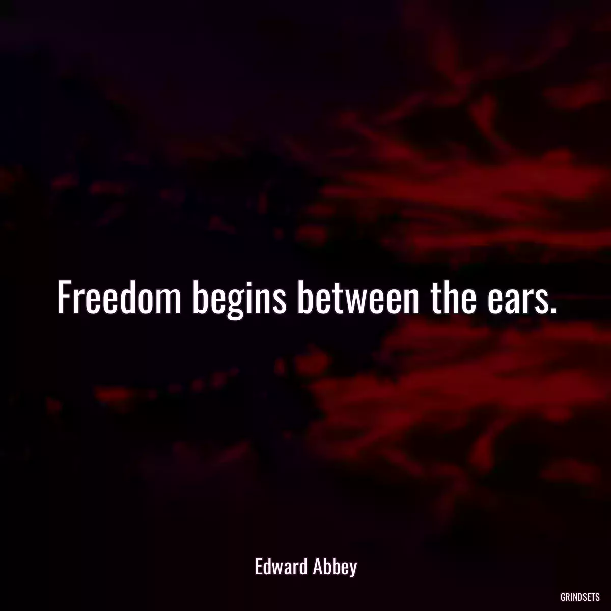 Freedom begins between the ears.