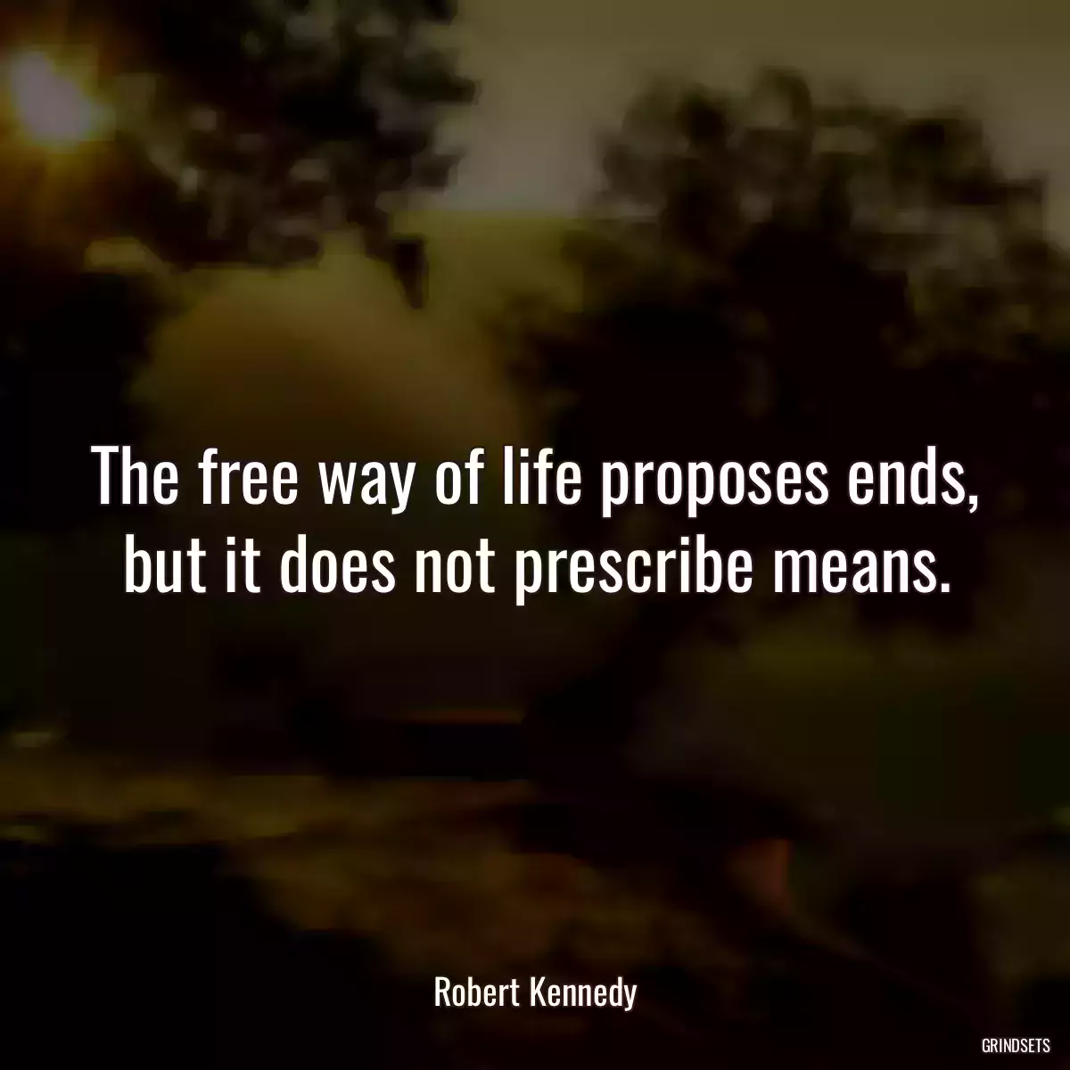 The free way of life proposes ends, but it does not prescribe means.