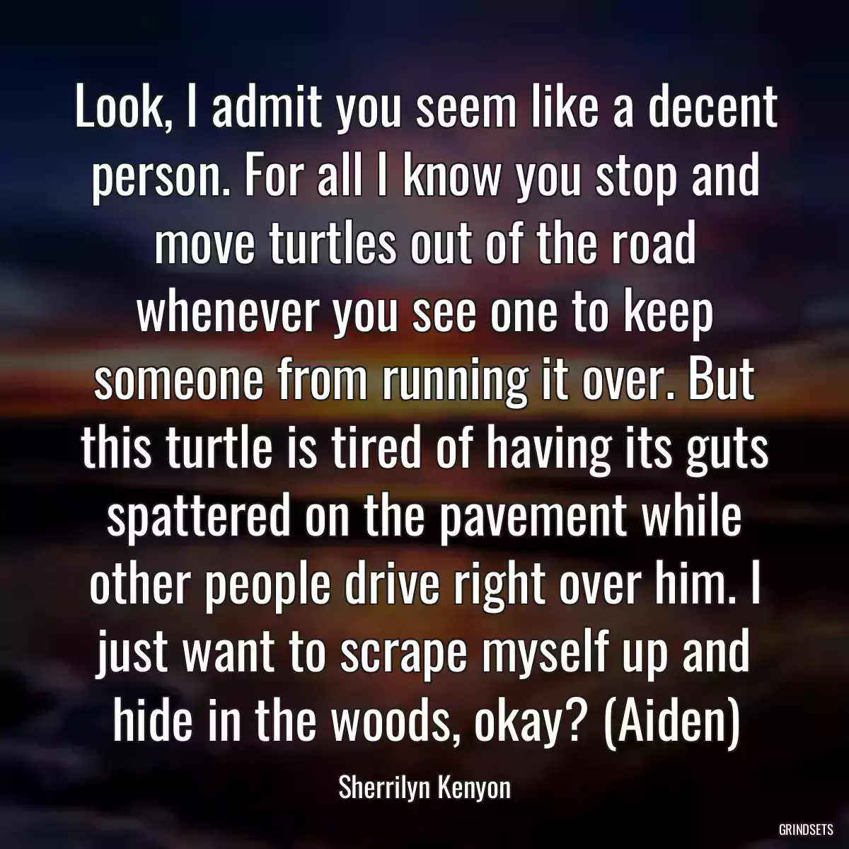 Look, I admit you seem like a decent person. For all I know you stop and move turtles out of the road whenever you see one to keep someone from running it over. But this turtle is tired of having its guts spattered on the pavement while other people drive right over him. I just want to scrape myself up and hide in the woods, okay? (Aiden)