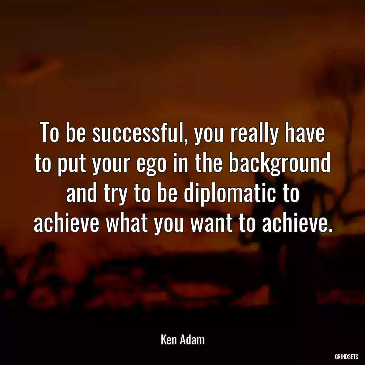 To be successful, you really have to put your ego in the background and try to be diplomatic to achieve what you want to achieve.