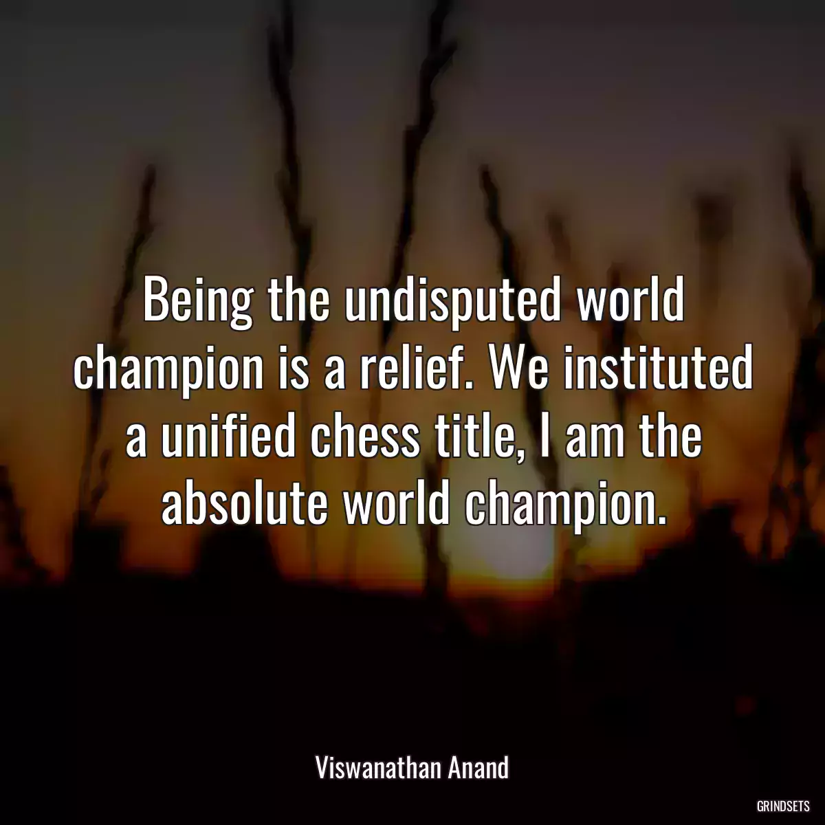 Being the undisputed world champion is a relief. We instituted a unified chess title, I am the absolute world champion.