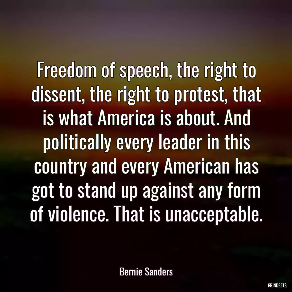 Freedom of speech, the right to dissent, the right to protest, that is what America is about. And politically every leader in this country and every American has got to stand up against any form of violence. That is unacceptable.