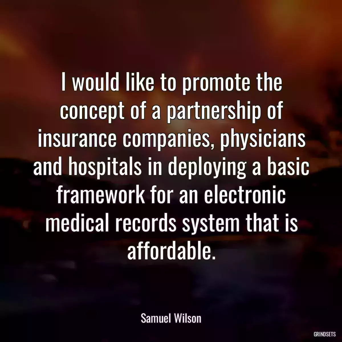 I would like to promote the concept of a partnership of insurance companies, physicians and hospitals in deploying a basic framework for an electronic medical records system that is affordable.