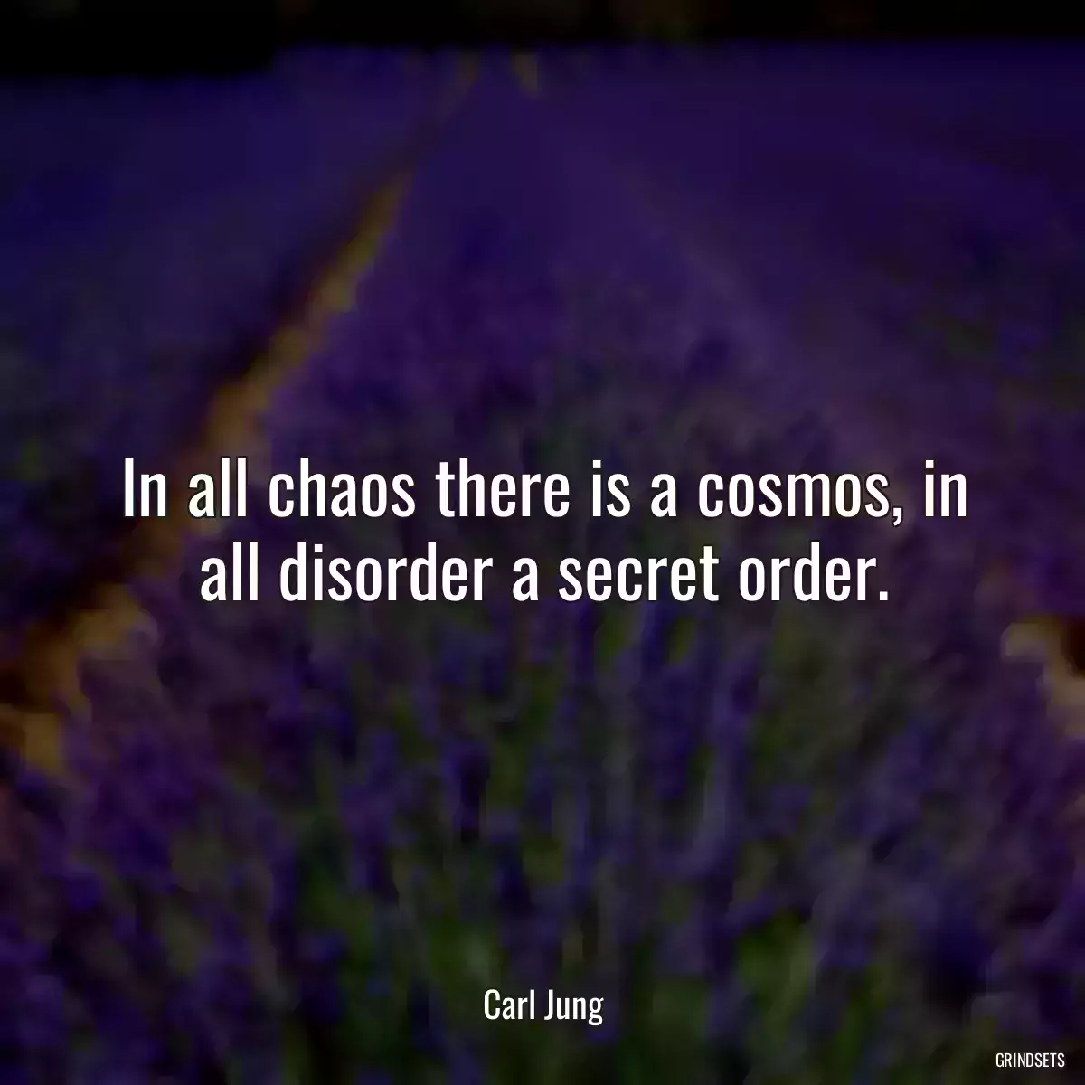 In all chaos there is a cosmos, in all disorder a secret order.