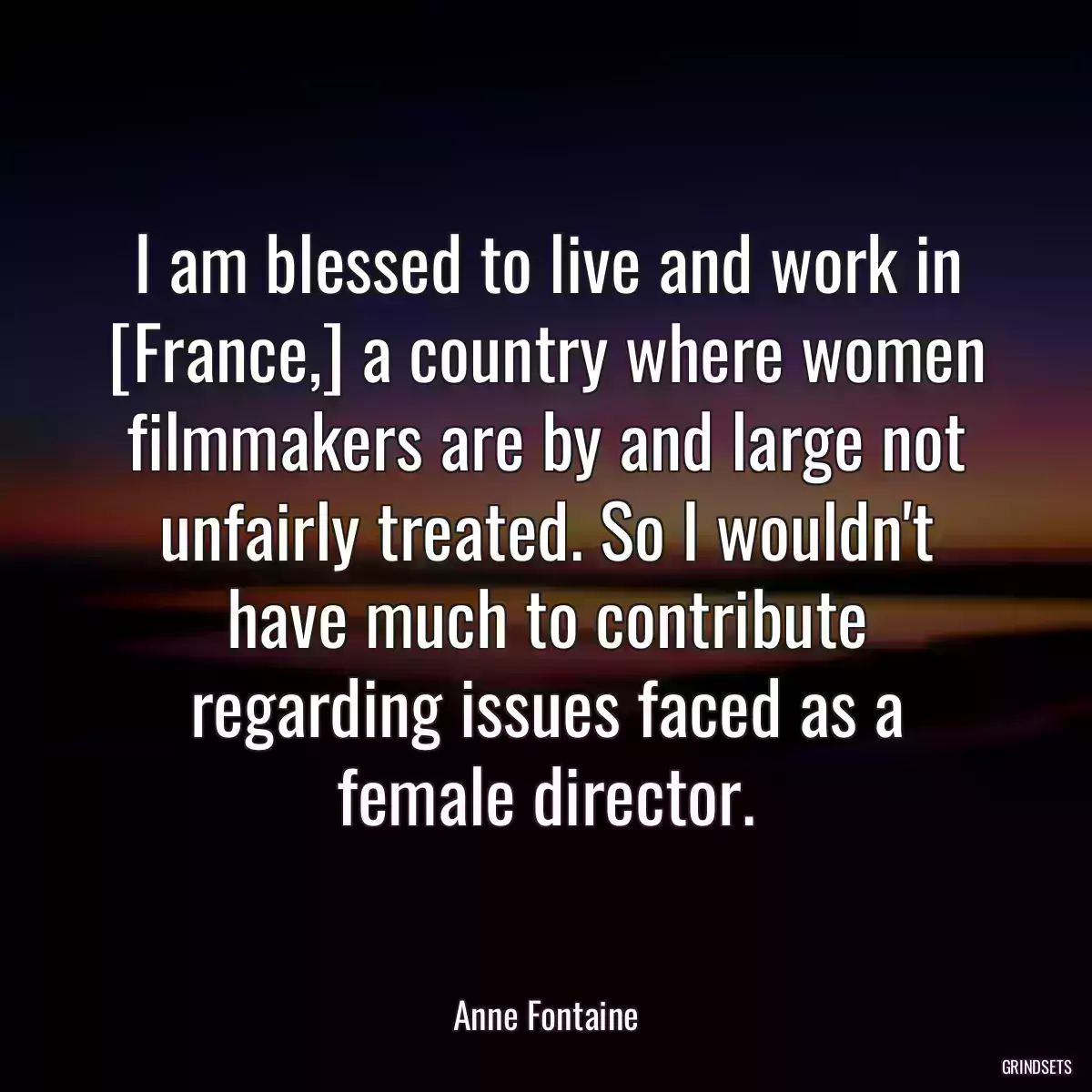 I am blessed to live and work in [France,] a country where women filmmakers are by and large not unfairly treated. So I wouldn\'t have much to contribute regarding issues faced as a female director.