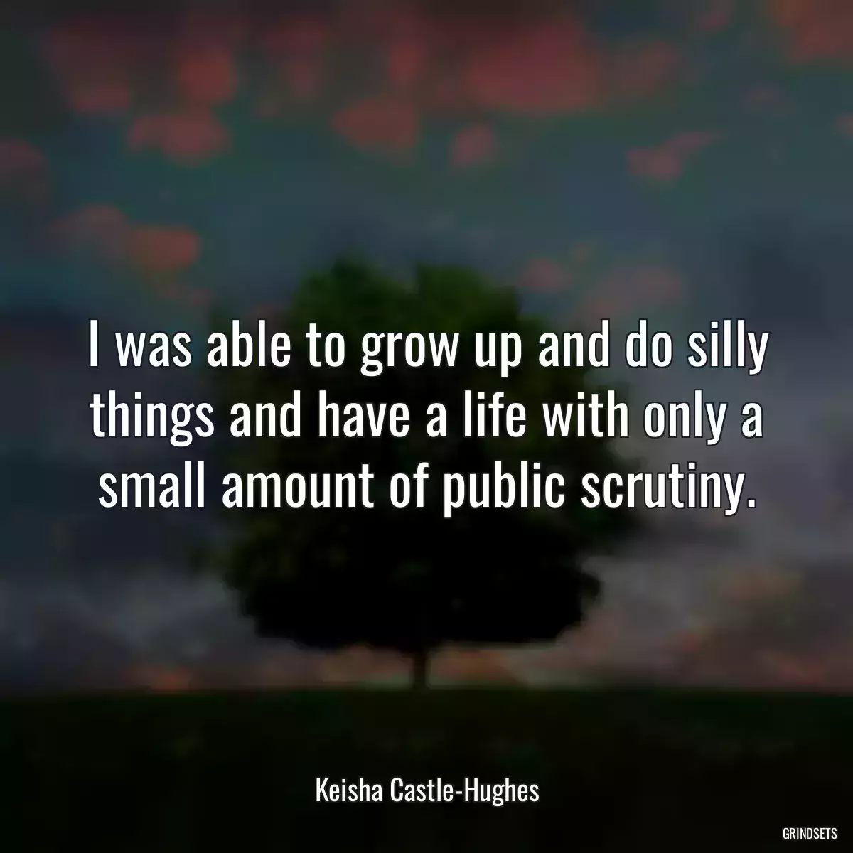 I was able to grow up and do silly things and have a life with only a small amount of public scrutiny.