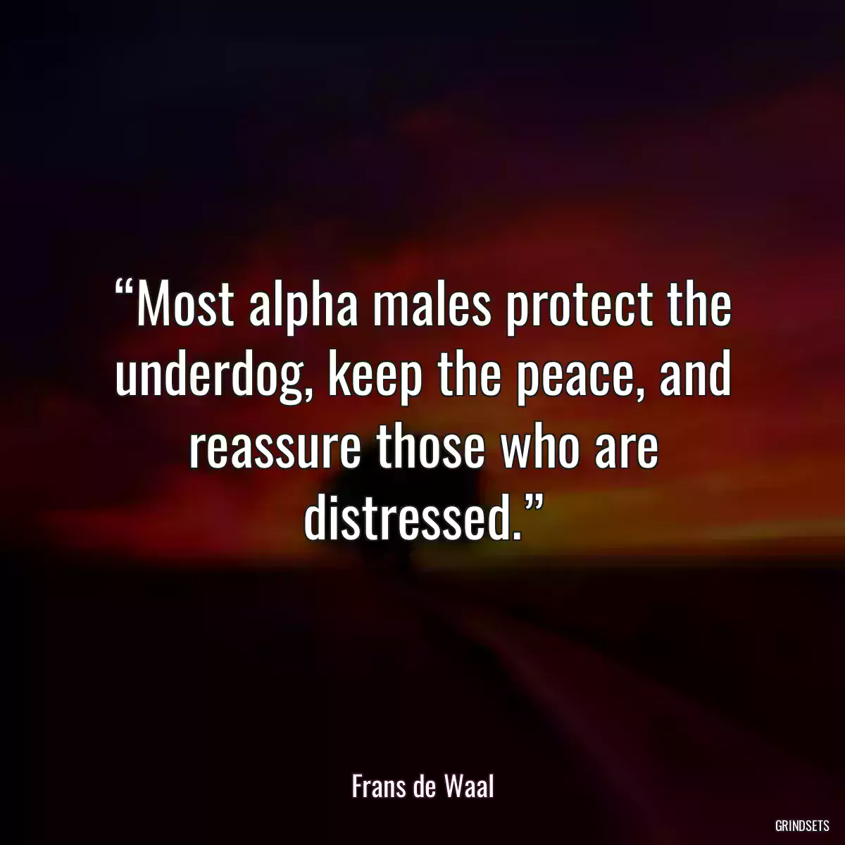 “Most alpha males protect the underdog, keep the peace, and reassure those who are distressed.”