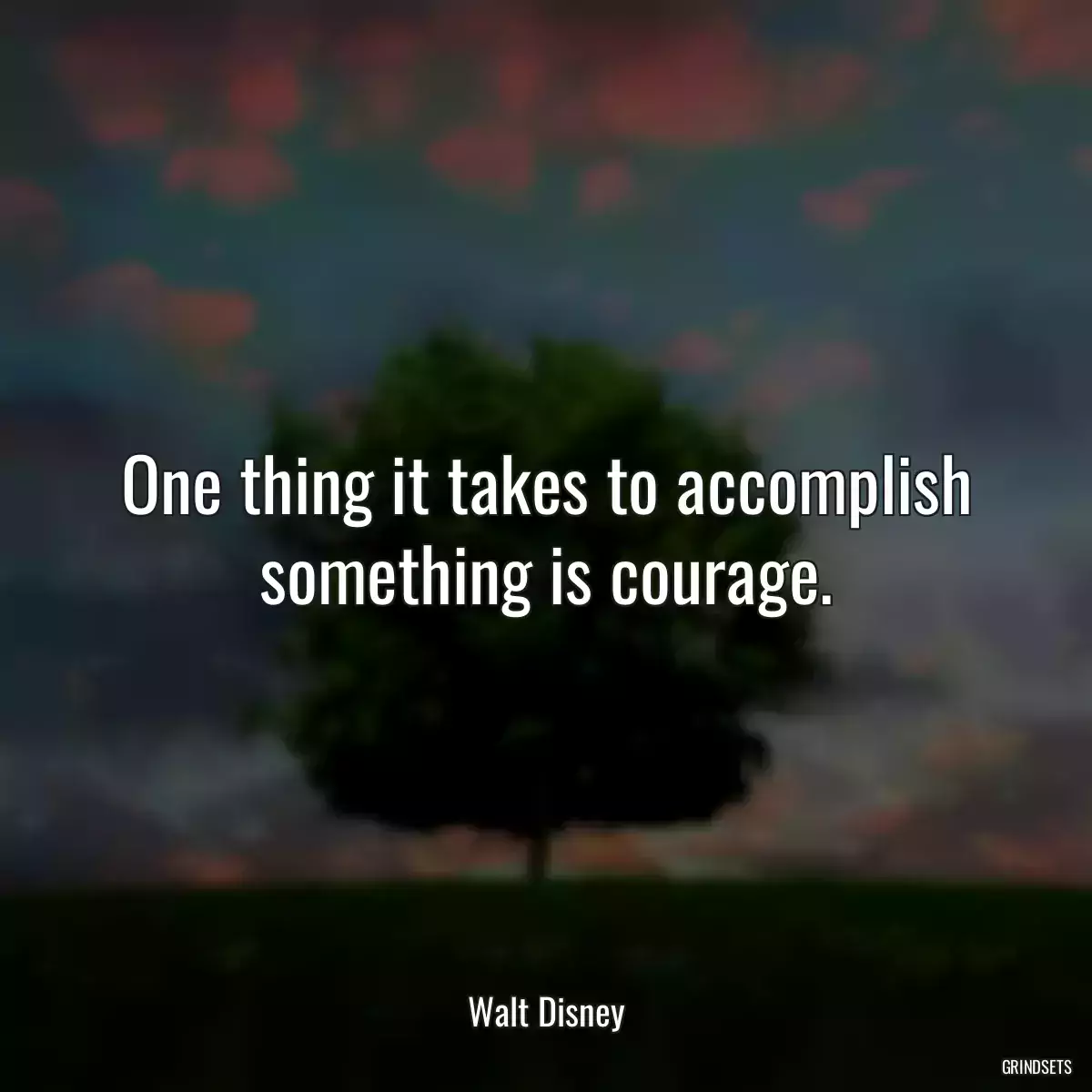 One thing it takes to accomplish something is courage.