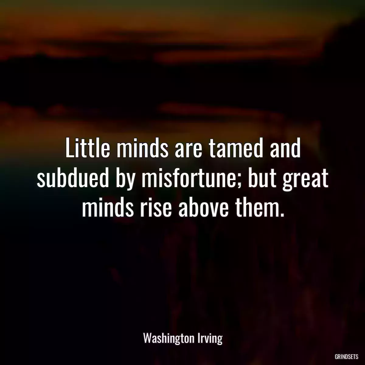 Little minds are tamed and subdued by misfortune; but great minds rise above them.