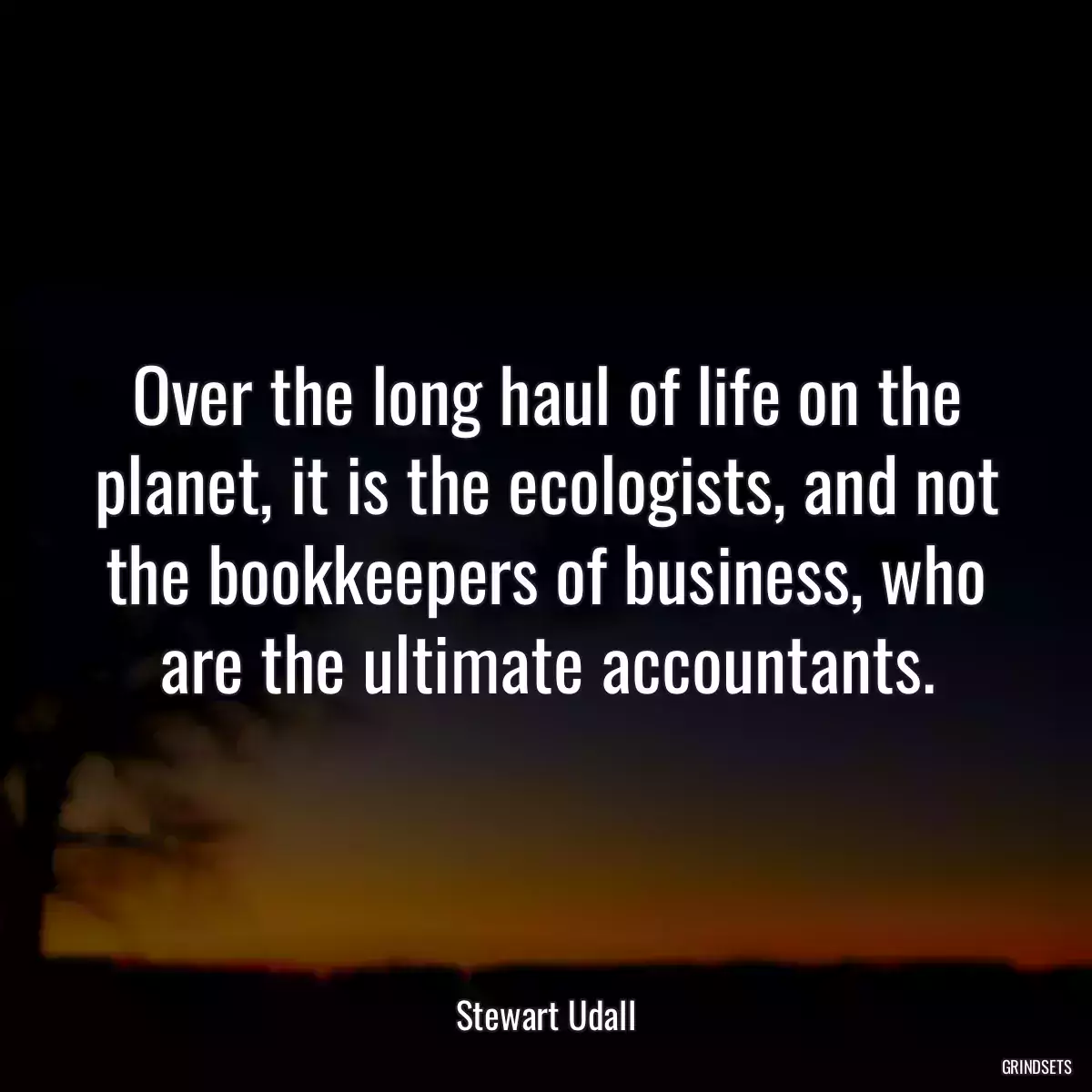 Over the long haul of life on the planet, it is the ecologists, and not the bookkeepers of business, who are the ultimate accountants.