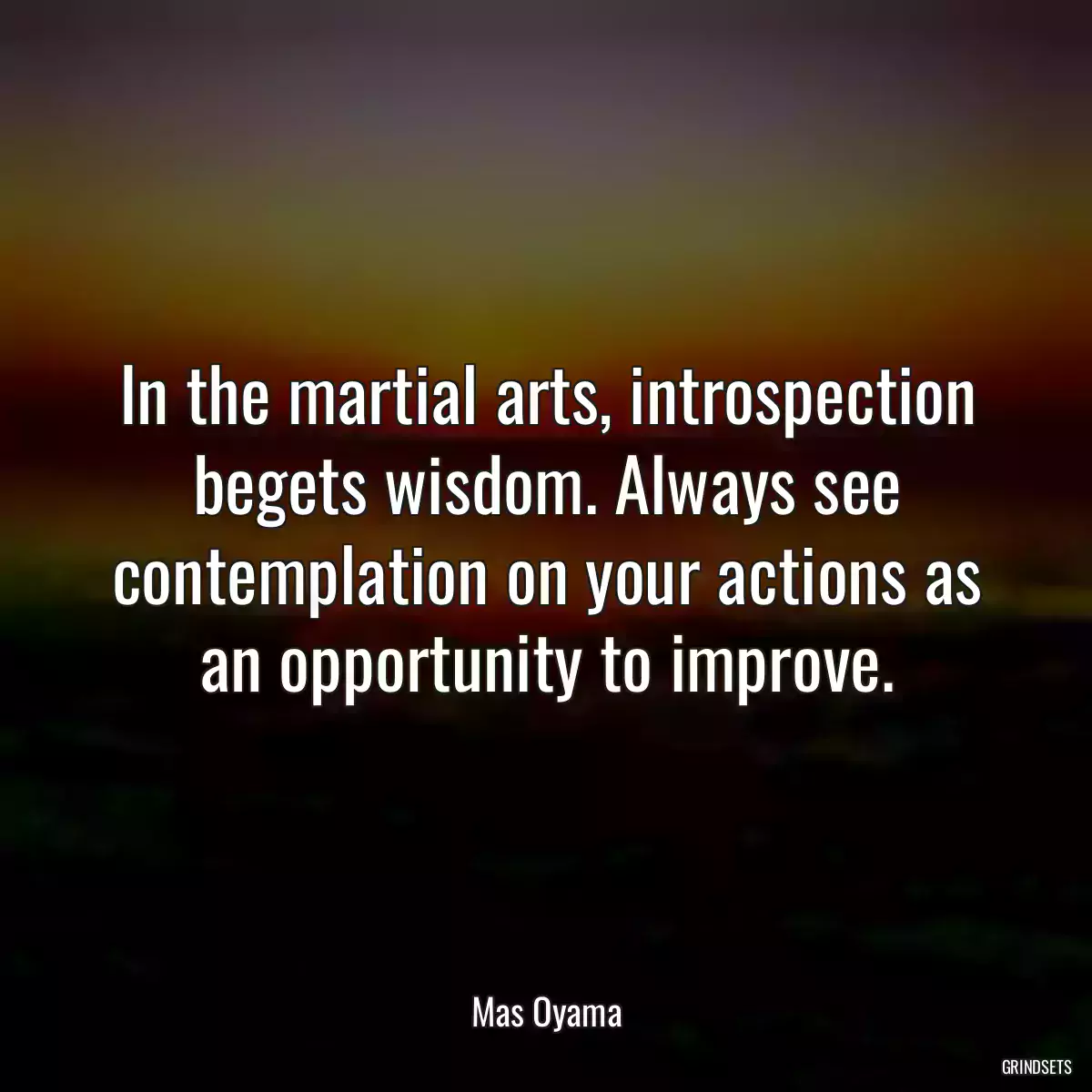 In the martial arts, introspection begets wisdom. Always see contemplation on your actions as an opportunity to improve.