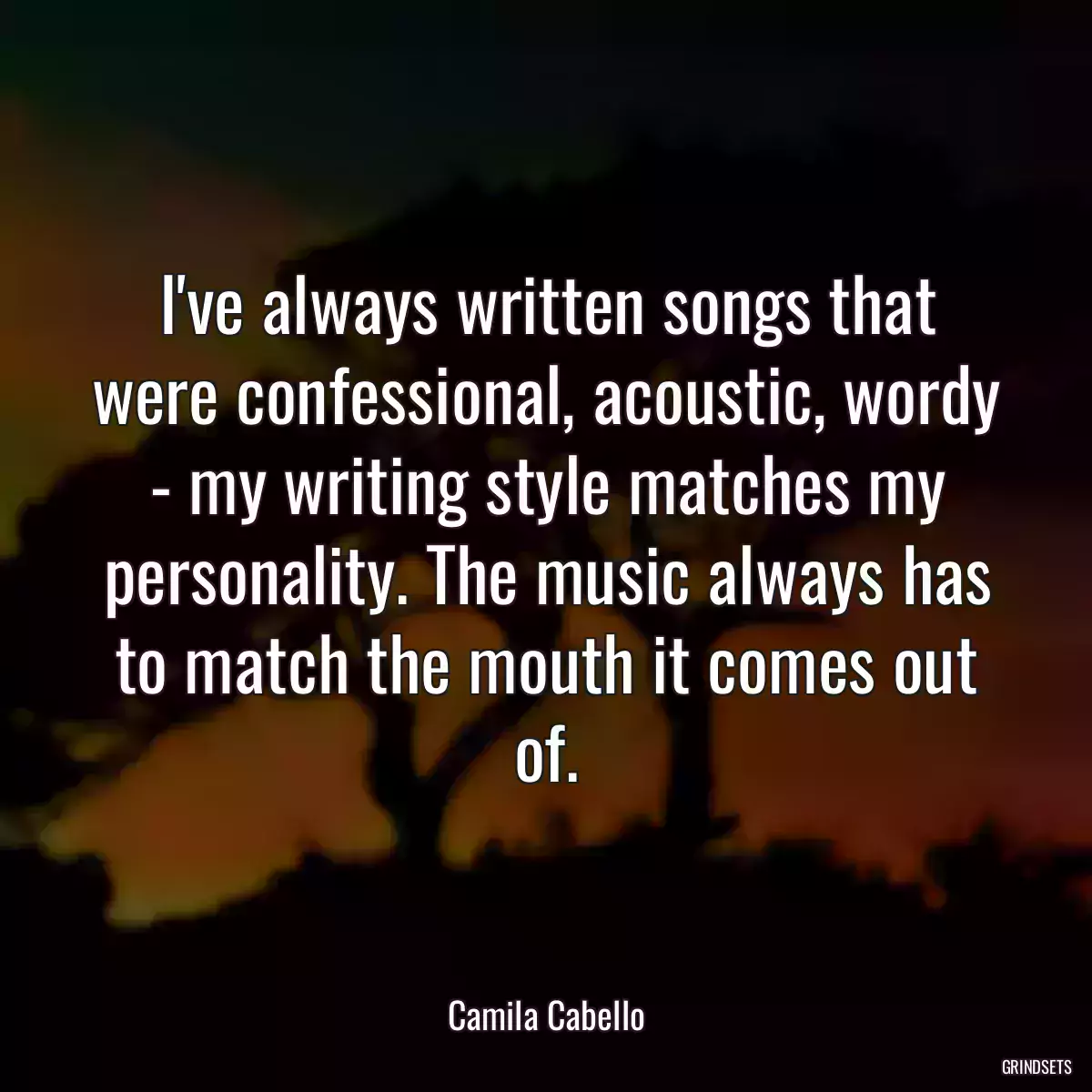 I\'ve always written songs that were confessional, acoustic, wordy - my writing style matches my personality. The music always has to match the mouth it comes out of.