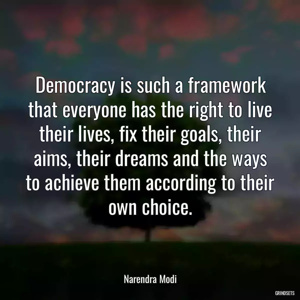 Democracy is such a framework that everyone has the right to live their lives, fix their goals, their aims, their dreams and the ways to achieve them according to their own choice.