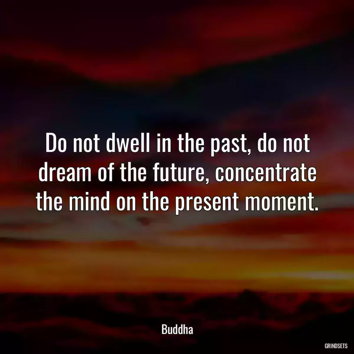 Do not dwell in the past, do not dream of the future, concentrate the mind on the present moment.