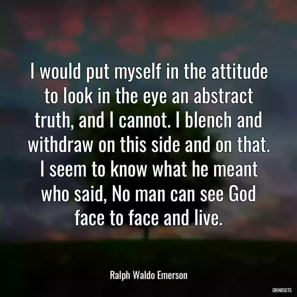 I would put myself in the attitude to look in the eye an abstract truth, and I cannot. I blench and withdraw on this side and on that. I seem to know what he meant who said, No man can see God face to face and live.