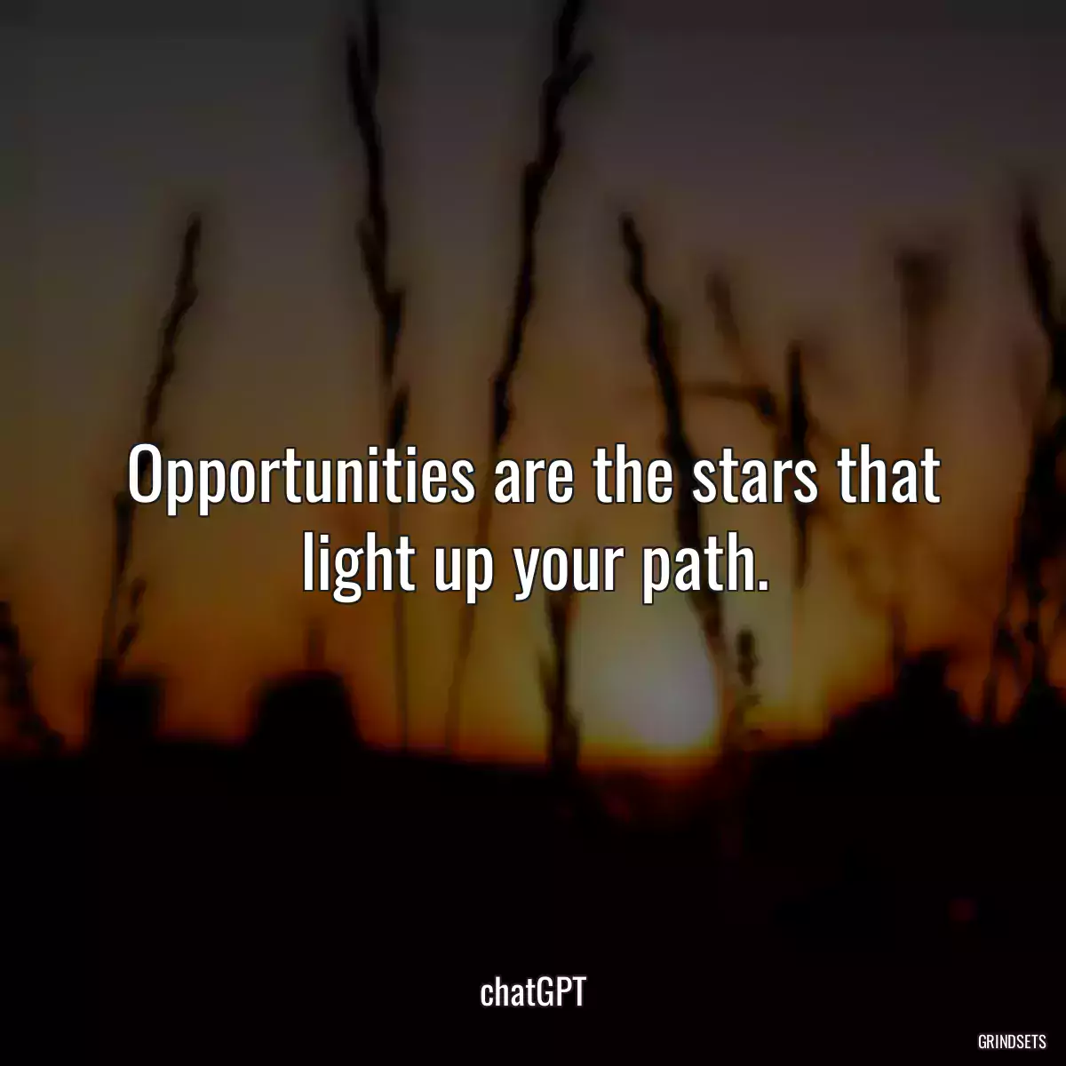 Opportunities are the stars that light up your path.
