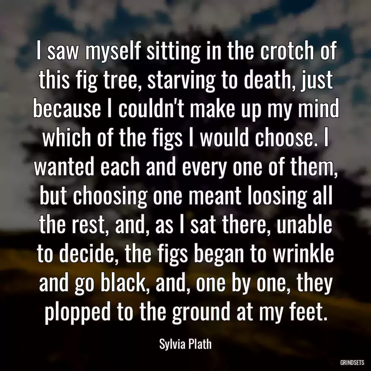 I saw myself sitting in the crotch of this fig tree, starving to death, just because I couldn\'t make up my mind which of the figs I would choose. I wanted each and every one of them, but choosing one meant loosing all the rest, and, as I sat there, unable to decide, the figs began to wrinkle and go black, and, one by one, they plopped to the ground at my feet.