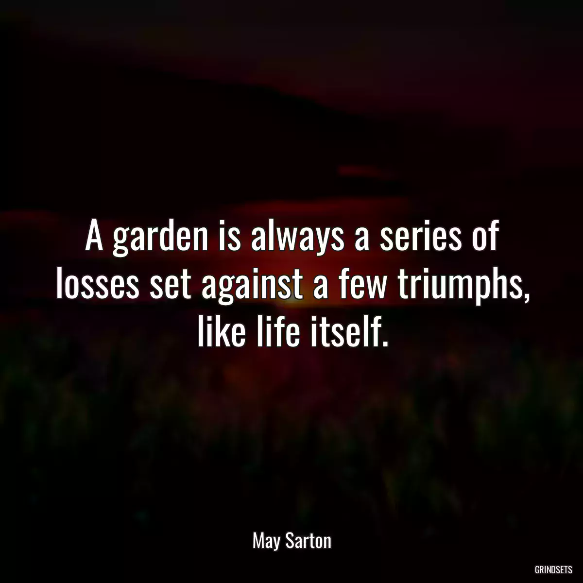 A garden is always a series of losses set against a few triumphs, like life itself.