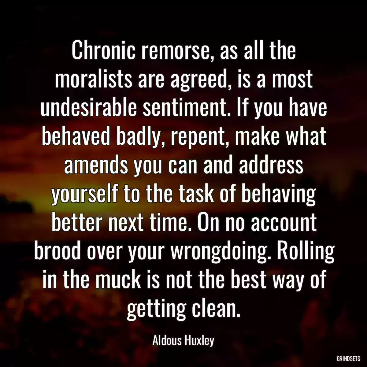 Chronic remorse, as all the moralists are agreed, is a most undesirable sentiment. If you have behaved badly, repent, make what amends you can and address yourself to the task of behaving better next time. On no account brood over your wrongdoing. Rolling in the muck is not the best way of getting clean.