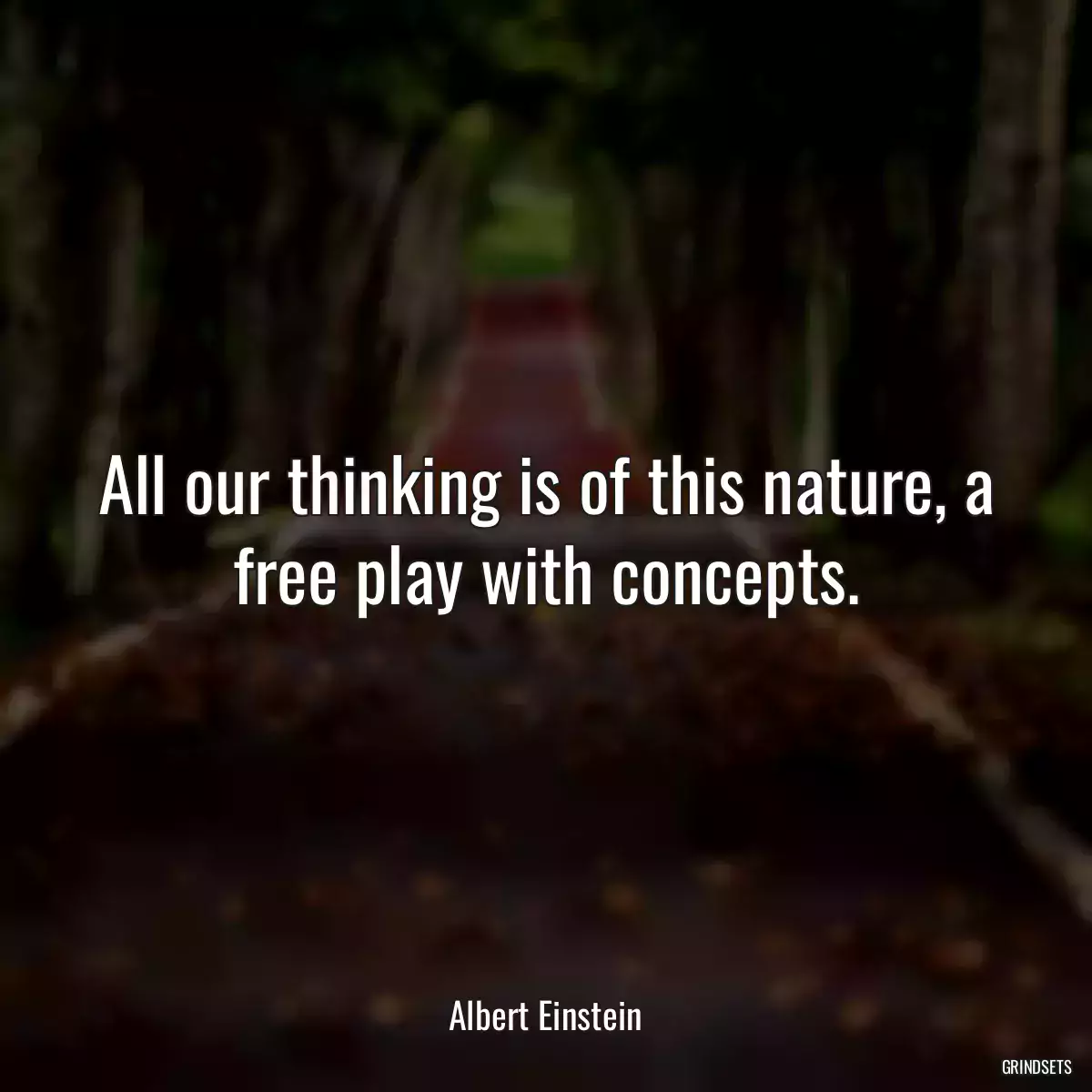 All our thinking is of this nature, a free play with concepts.