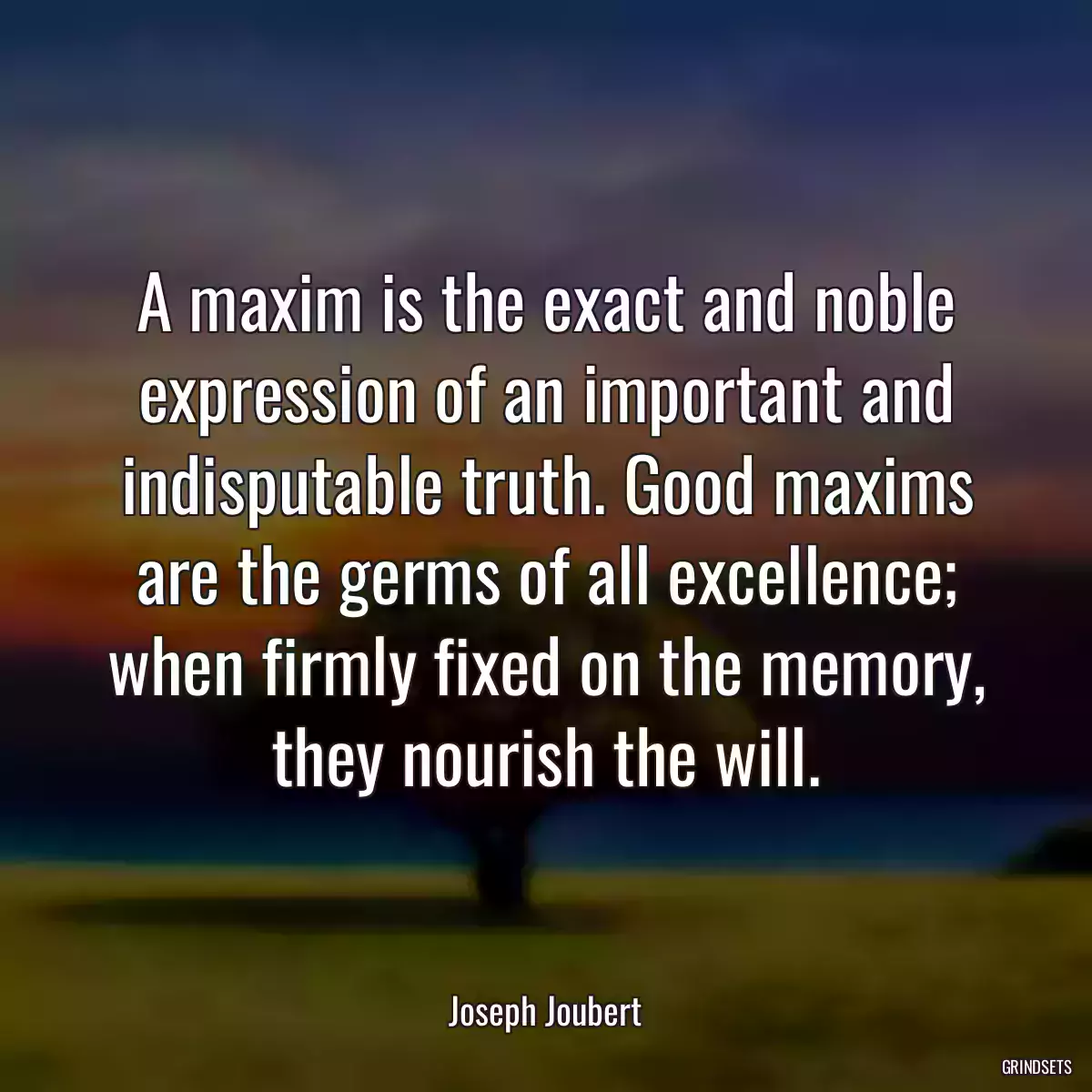 A maxim is the exact and noble expression of an important and indisputable truth. Good maxims are the germs of all excellence; when firmly fixed on the memory, they nourish the will.