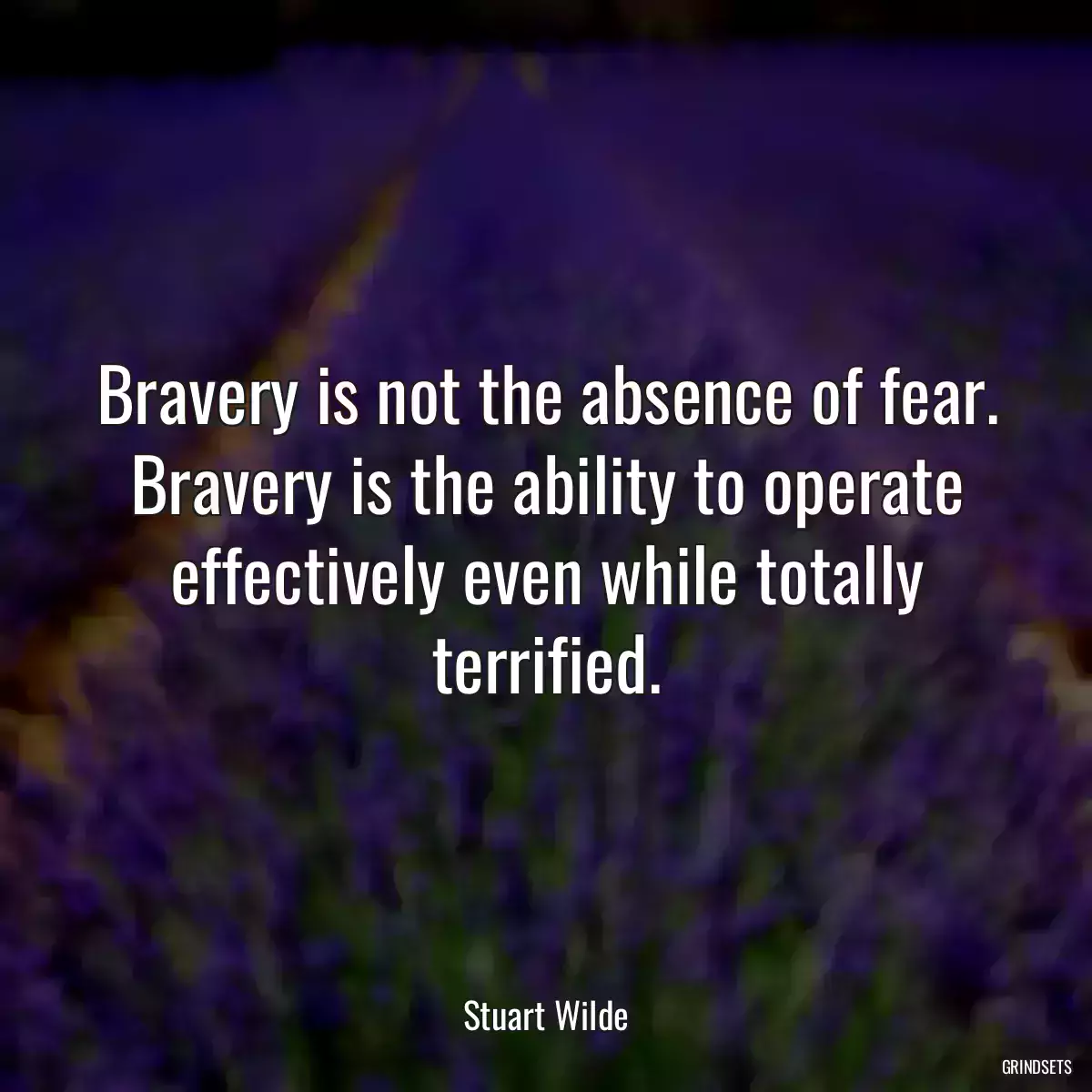 Bravery is not the absence of fear. Bravery is the ability to operate effectively even while totally terrified.