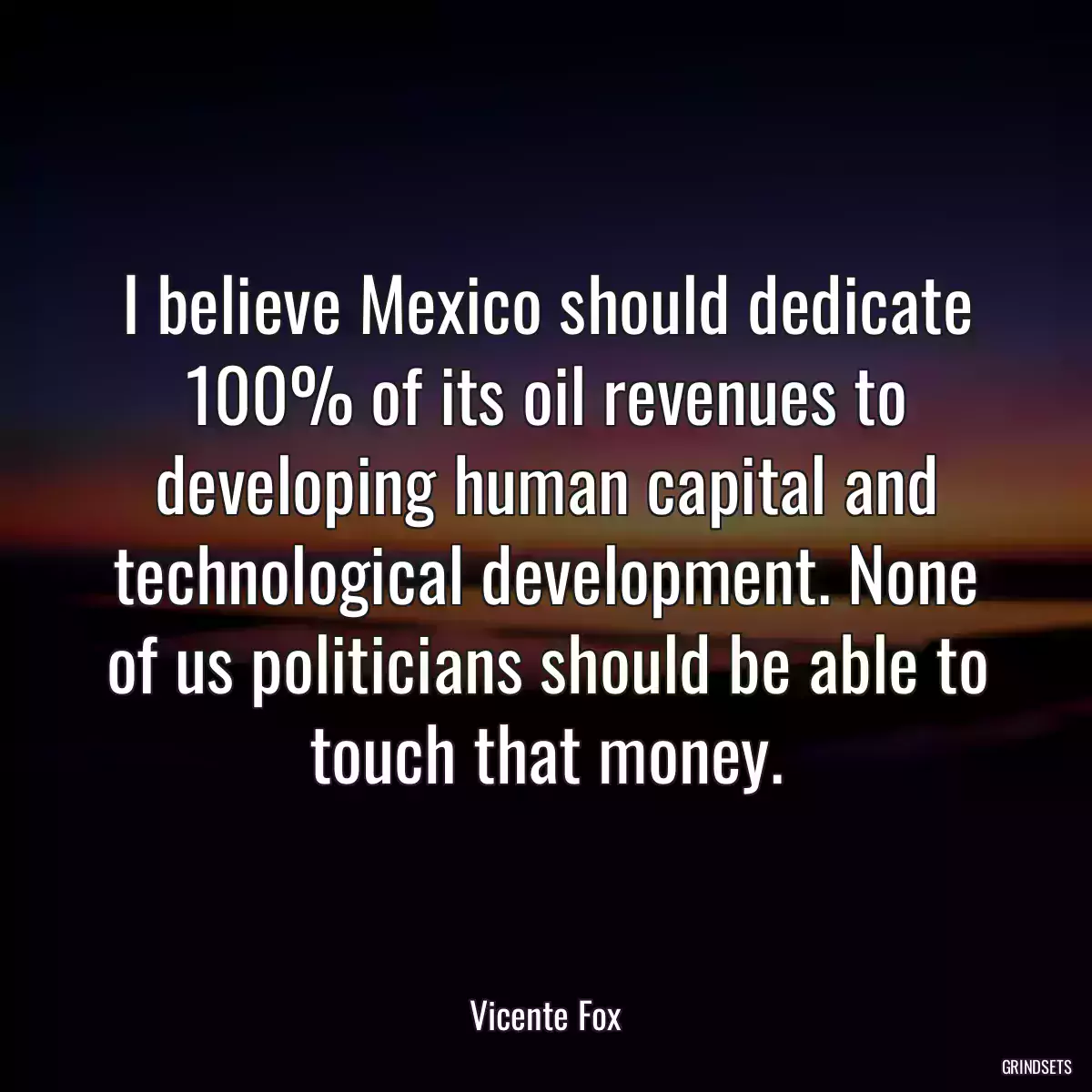 I believe Mexico should dedicate 100% of its oil revenues to developing human capital and technological development. None of us politicians should be able to touch that money.