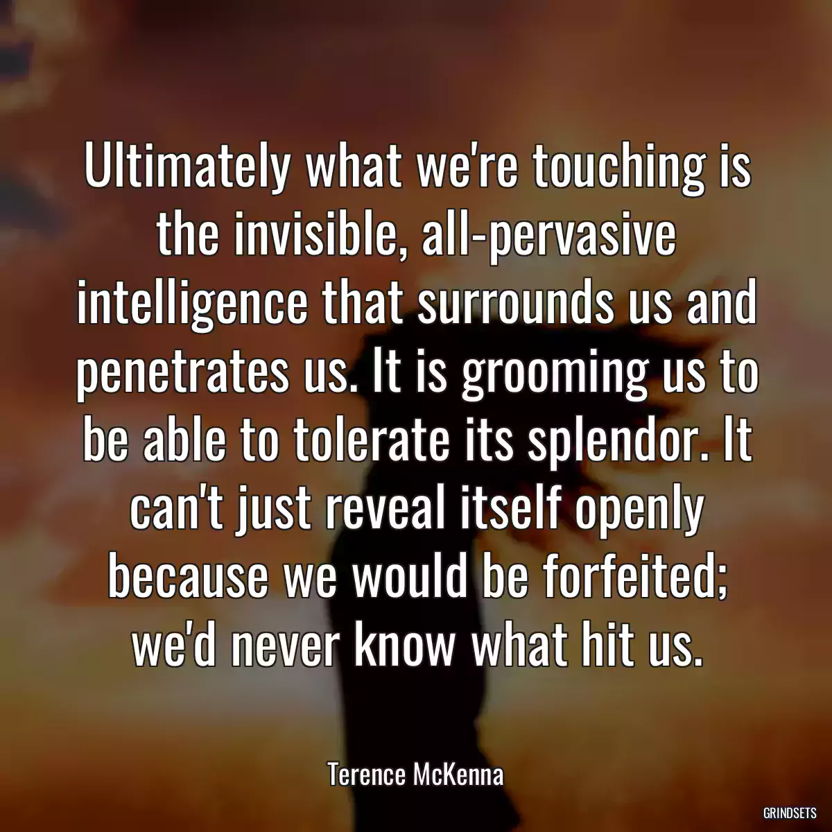 Ultimately what we\'re touching is the invisible, all-pervasive intelligence that surrounds us and penetrates us. It is grooming us to be able to tolerate its splendor. It can\'t just reveal itself openly because we would be forfeited; we\'d never know what hit us.