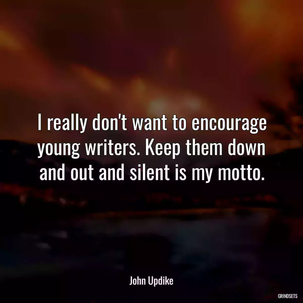 I really don\'t want to encourage young writers. Keep them down and out and silent is my motto.