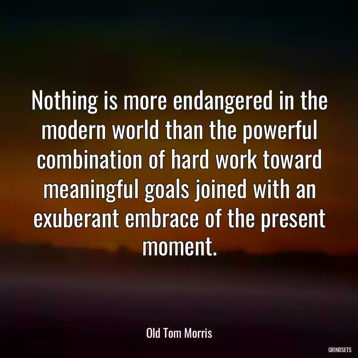 Nothing is more endangered in the modern world than the powerful combination of hard work toward meaningful goals joined with an exuberant embrace of the present moment.