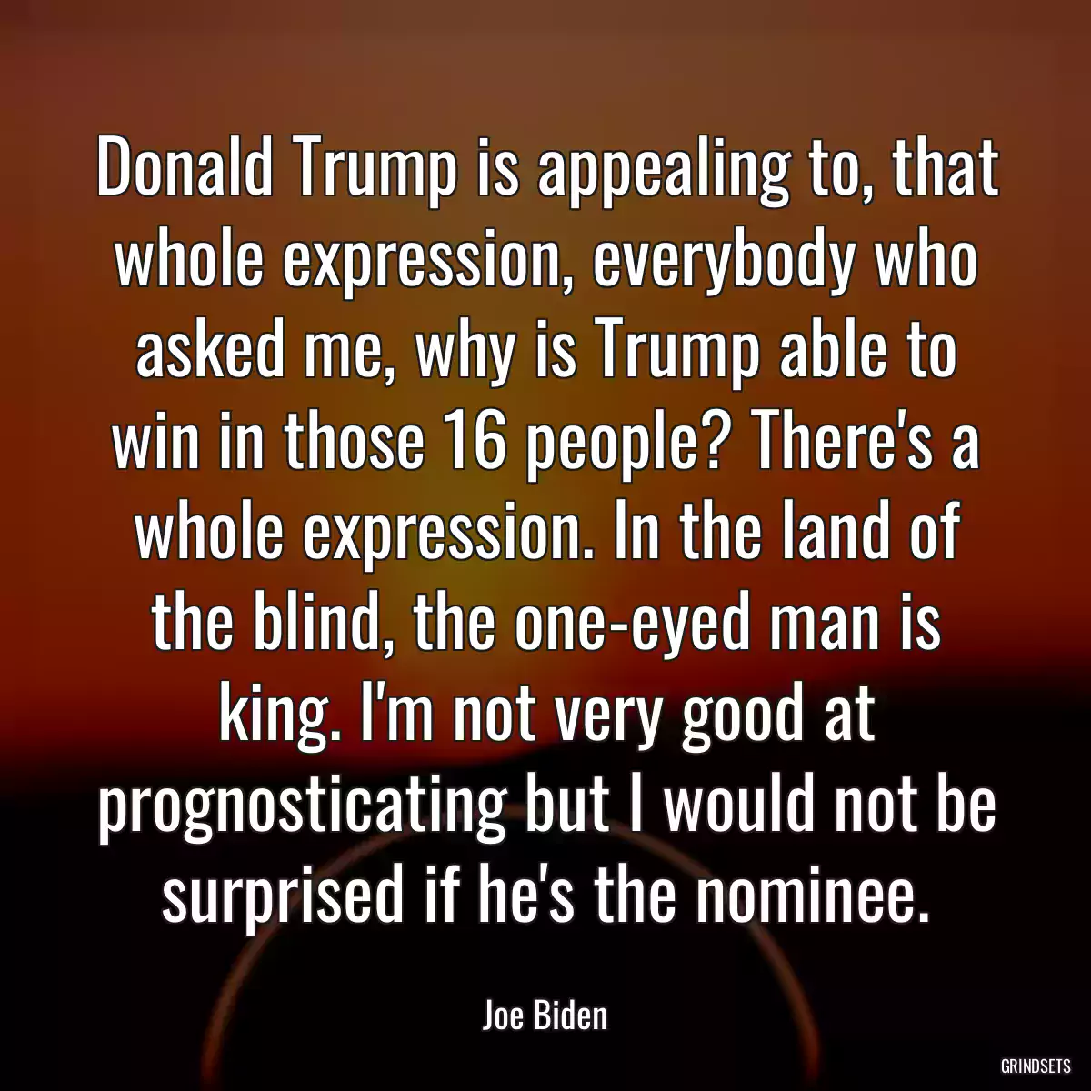 Donald Trump is appealing to, that whole expression, everybody who asked me, why is Trump able to win in those 16 people? There\'s a whole expression. In the land of the blind, the one-eyed man is king. I\'m not very good at prognosticating but I would not be surprised if he\'s the nominee.