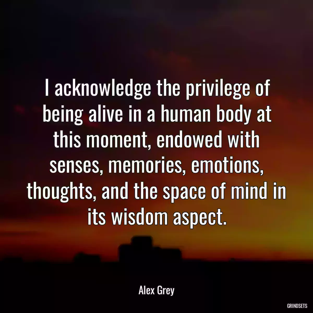 I acknowledge the privilege of being alive in a human body at this moment, endowed with senses, memories, emotions, thoughts, and the space of mind in its wisdom aspect.