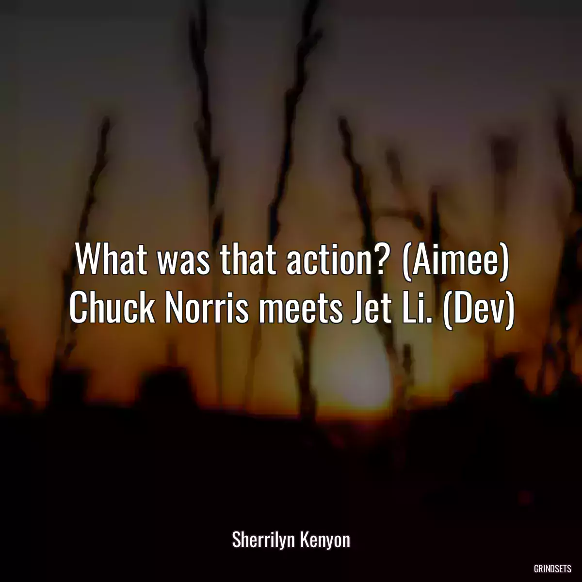 What was that action? (Aimee) Chuck Norris meets Jet Li. (Dev)