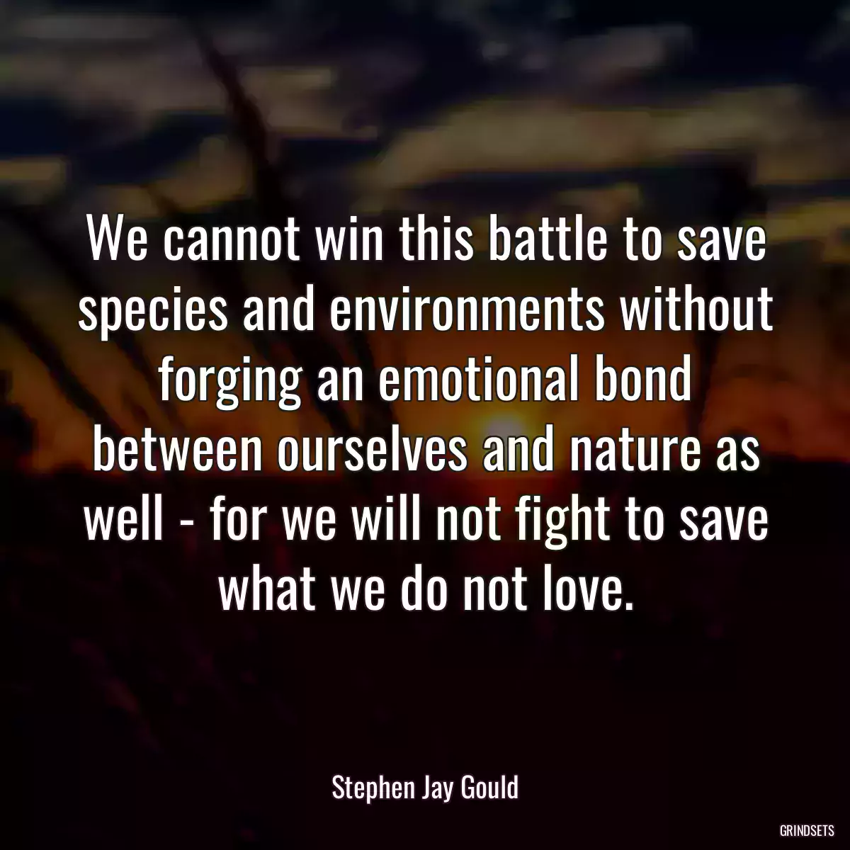 We cannot win this battle to save species and environments without forging an emotional bond between ourselves and nature as well - for we will not fight to save what we do not love.